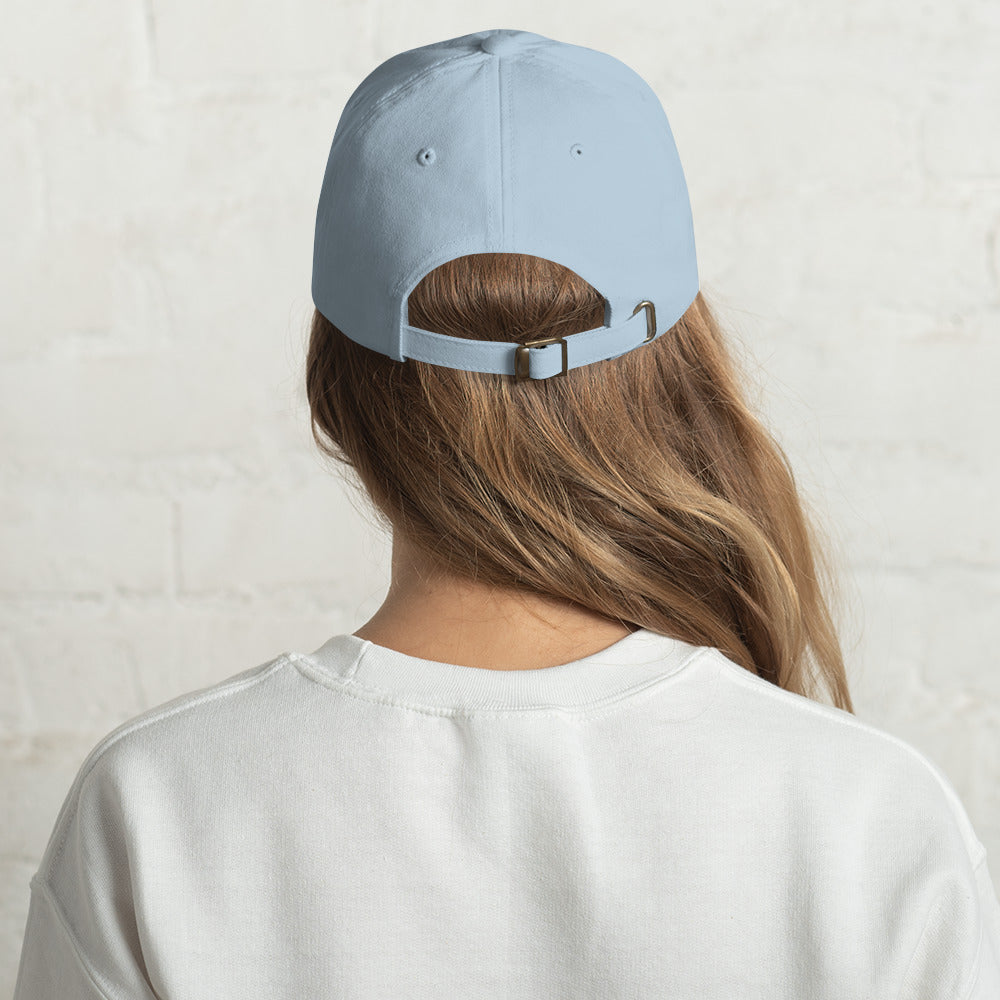 The Ball Cap | Belvedere Ventures Hat